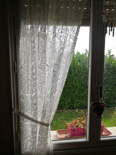 IMG_20231017_123006 (Large)