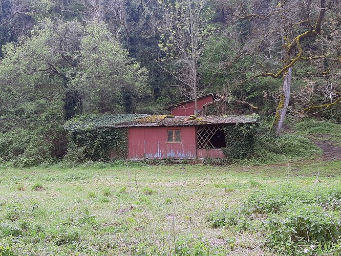 20250416_123254