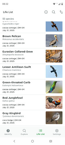 Screenshot_20250803-083236.Merlin Bird ID
