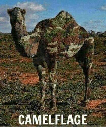 FB_IMG_1696858402814