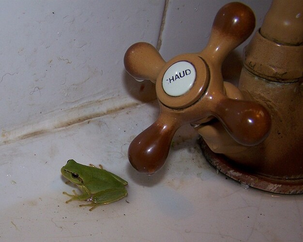 Frog and tap