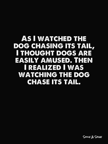 image.thumb.png.111264453295dcc650eb88495d1c0bb0