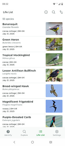 Screenshot_20250803-083209.Merlin Bird ID