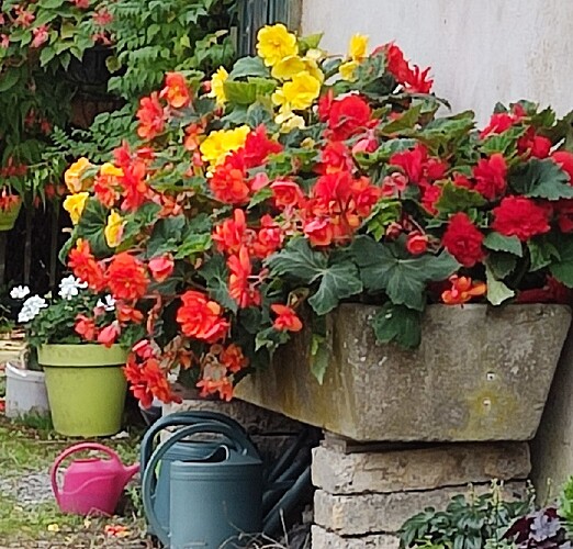 Screenshot 2025-09-22 185023