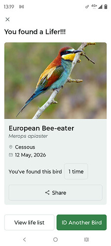 Screenshot_20260512-131955.Merlin Bird ID