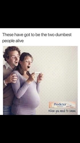 dumbest.thumb.jpg.87bc2e029f47bcbf376eec361027a107