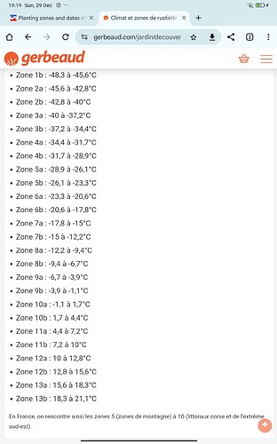 Screenshot_2024-12-29-19-19-48-830_com.android.chrome