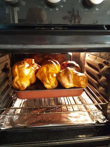 IMG-20231119-WA0001