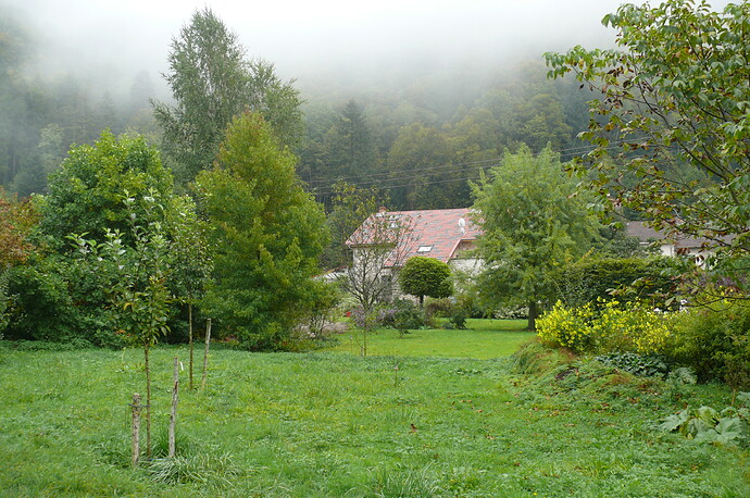 P1050349