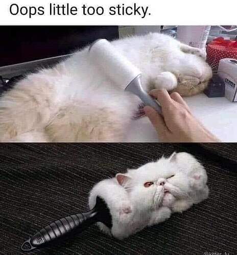 Rollcat