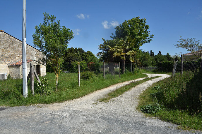 chemin leading to loathsome neighbour