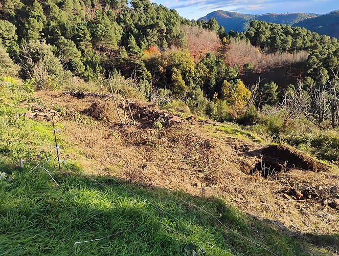 IMG_20251117_161722515_HDR