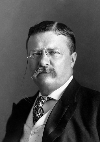 President_Roosevelt_-_Pach_Bros