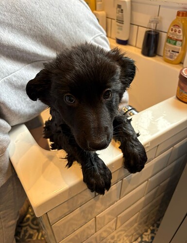 Screenshot 2025-10-14 at 15.42.33