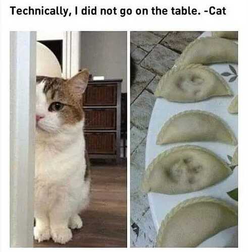 Didnot