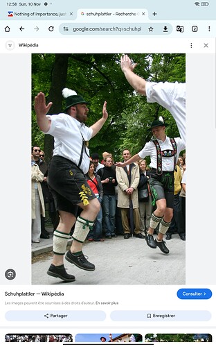 Screenshot_2024-11-10-12-58-43-201_com.android.chrome