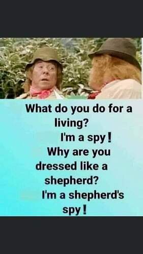 FB_IMG_1686780732920