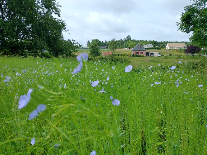 IMG_20250610_094651434_HDR