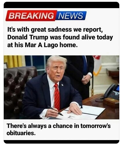 ef93f0e05b6d1a11586a231fda700d5beea16af6_2_628x750