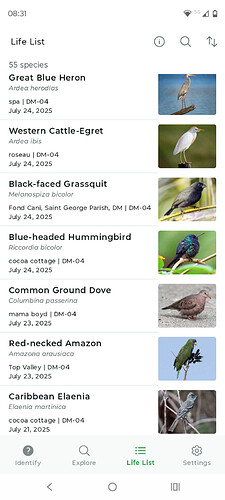 Screenshot_20250803-083149.Merlin Bird ID