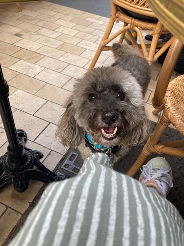 Louie at the cafae June 2025