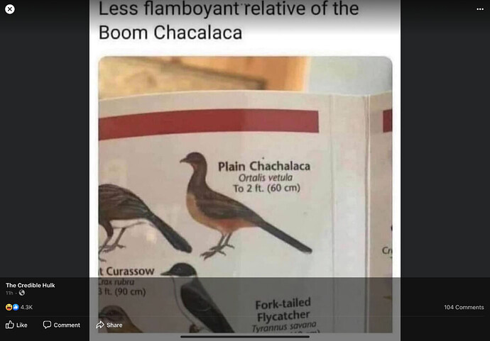 E778C6E3-0000-487A-9662-8FA2B03D131F.thumb.png.c8f5e1e193b543138a210a8c035b657f