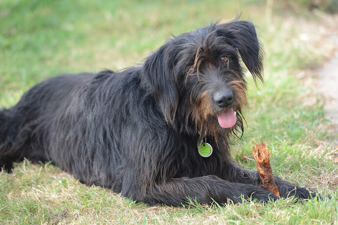 Ruby (2)