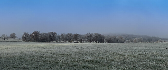 frosty morning nov 2021-2