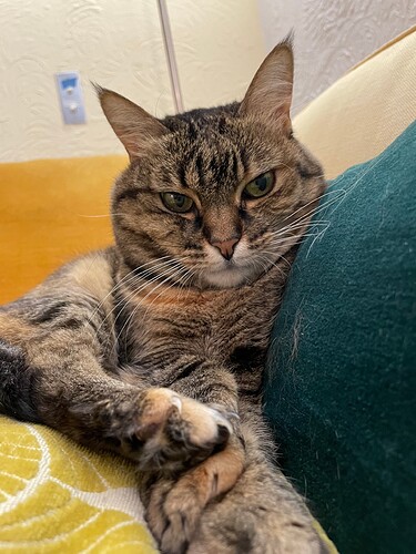 Dora