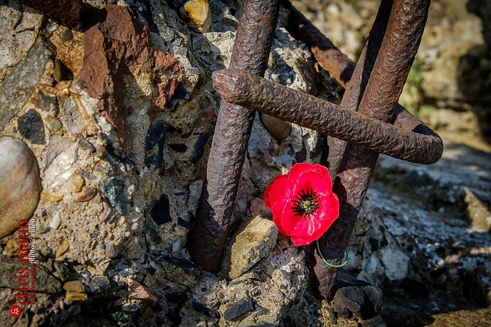 lest-we-forget-2018-025