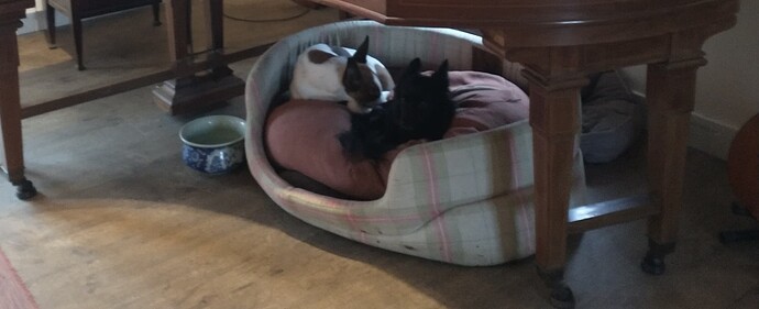 IMG_20251223_114056945