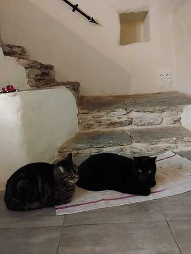 IMG-20260122-WA0002