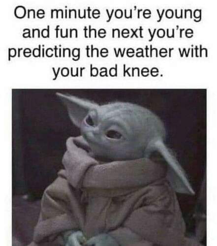 FB_IMG_1676304098966
