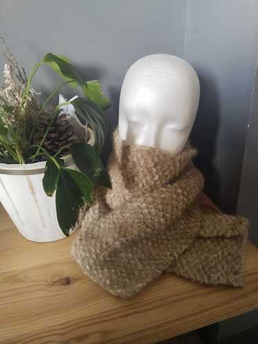 IMG-20250312-WA0001