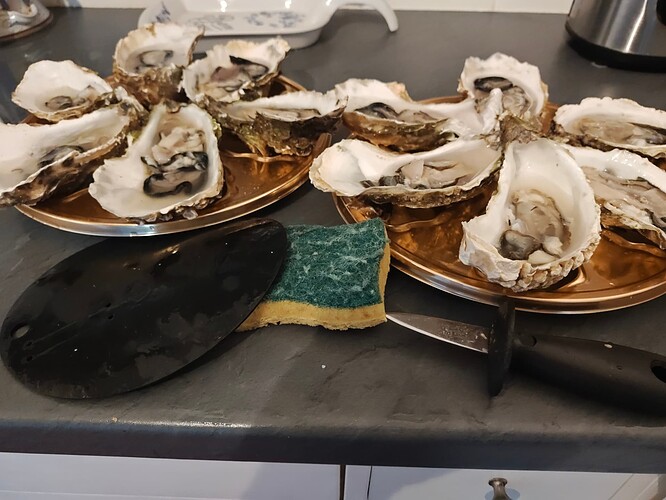 IMG_20241020_181205730_BURST001