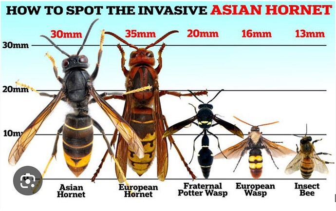 Screenshot_20260409-070025~2