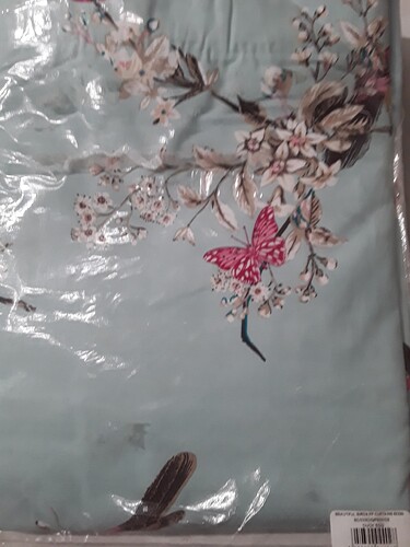 duck egg blue 03