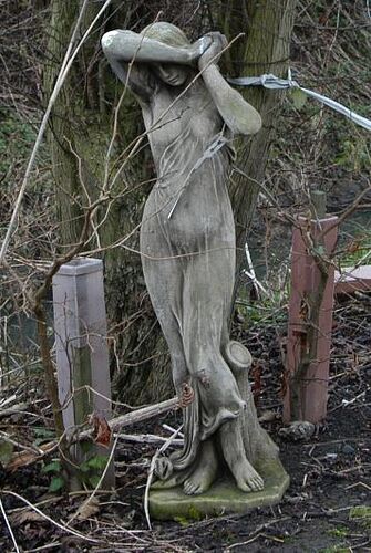 Echo
