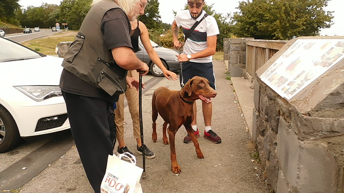 vlcsnap-2020-08-20-10h21m04s854 - Haska with his new family