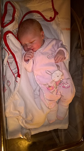 WP_20171116_17_34_17_Pro