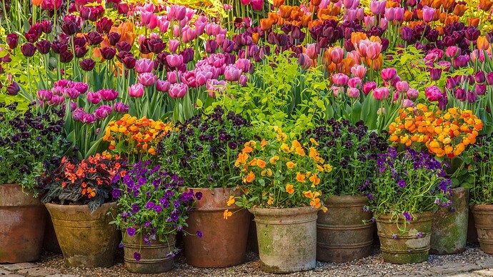 _methode_sundaytimes_prod_web_bin_c93e74a8-5149-11e9-82c1-b5b0bbeb9bfd