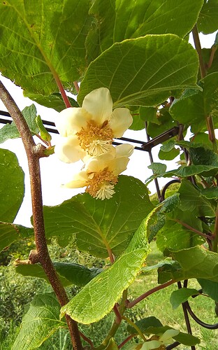 IMG_20250601_161806_890