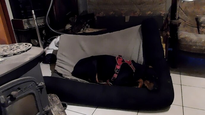 vlcsnap-2025-10-13-09h30m39s955