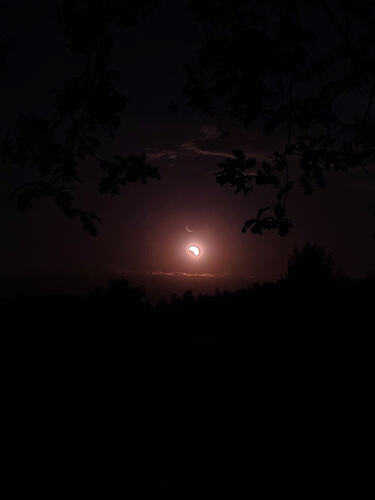 IMG_20260812_202408