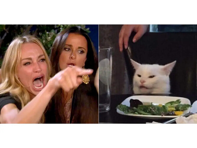 cat-meme