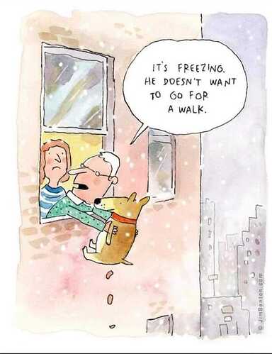 Freezing