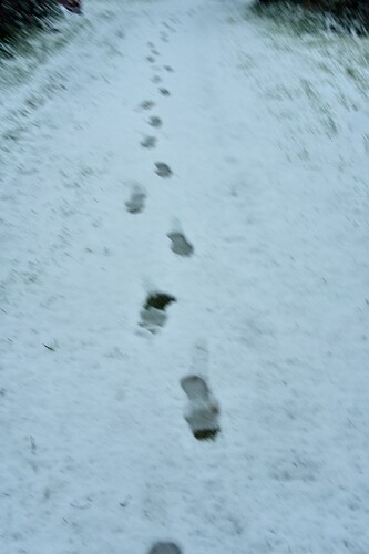 my footprints in the snow