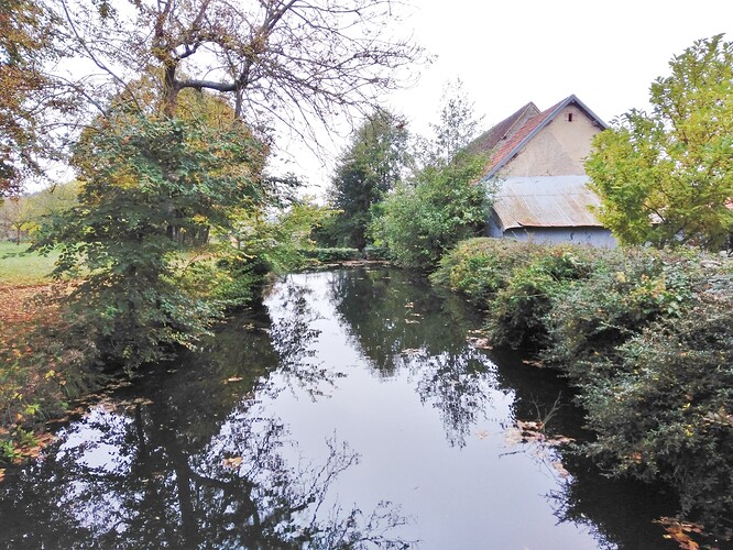 IMG_20161026_141149-1