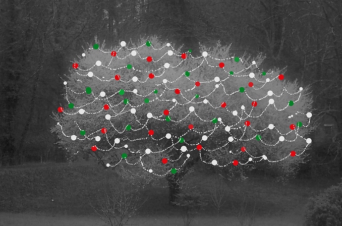 christmas dec 2019