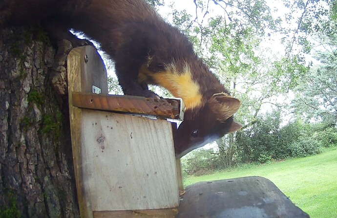 Screenshot 2024-06-02 at 12.10.43